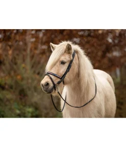 Muserolle combinée Rainbow