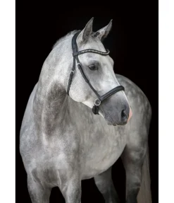 Muserolle en cuir gras sans mors Mix & Match