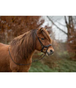 Muserolle française combinée Hildur