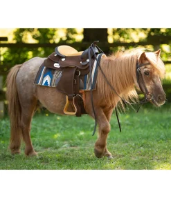 Pad western poney