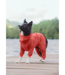 Peignoir pour chien Allover Dry