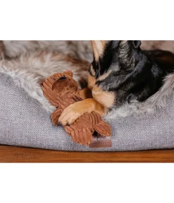 Peluche ours pour chien Bruno