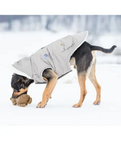 Peluche ours pour chien Bruno