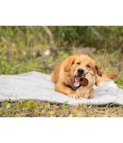 Peluche ours pour chien Bruno