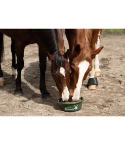 Pierre à lécher Bronchial