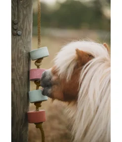Pierre à lécher Salty Lick Bronchial