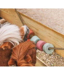 Pierre à lécher Salty Lick Bronchial