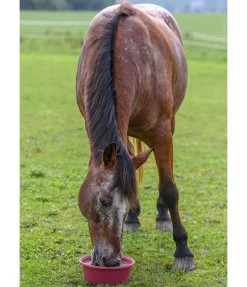 Pierre à lécher minérale Daily