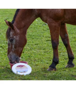 Pierre à lécher minérale Daily