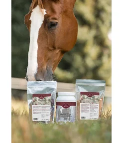 Poudre Immunité ImmunStark