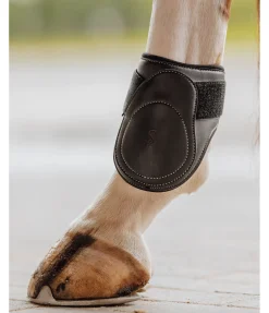 Protège-boulets Exclusive