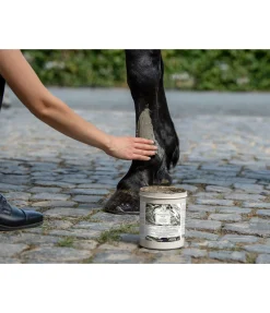 Pâte régénératrice