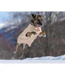 Pull col roulé Maisie