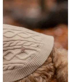 Pull col roulé Maisie