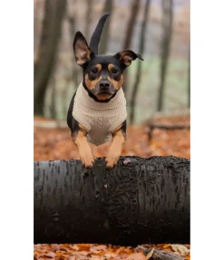 Pull col roulé Maisie