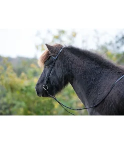 Rênes en cuir Eldur