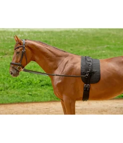 Rênes fixes en cuir sans anneaux en caoutchouc