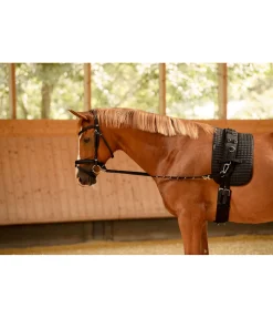 Rênes fixes en nylon avec anneaux