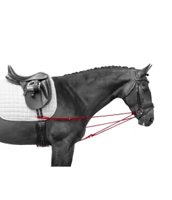 Rênes viennoises Slide II