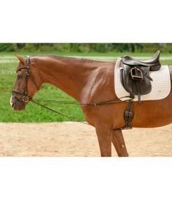 Rênes viennoises Slide II