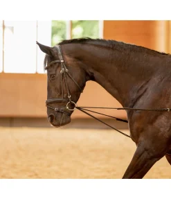 Rênes viennoises Slide II