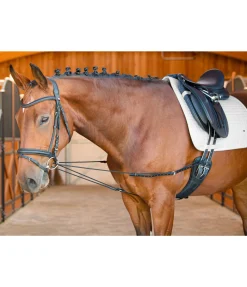 Rênes viennoises Slide II