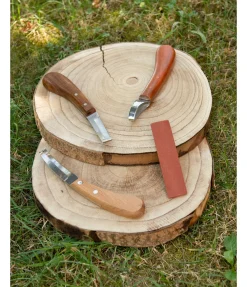 Rénette professionnelle