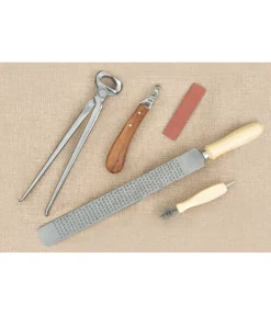 Rénette professionnelle