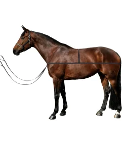 Sangle d'embarquement Quick