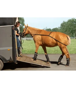 Sangle d'embarquement Quick