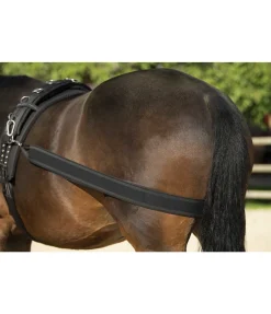 Sangle élastique pour cheval