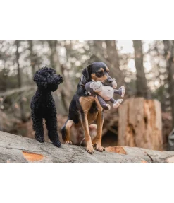 Singe en peluche pour chien Alfie
