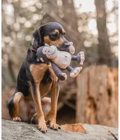 Singe en peluche pour chien Alfie