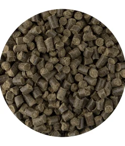 Soutien pour les bronches