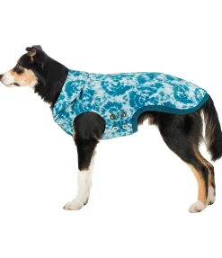 Sweat à capuche pour chien Daphne