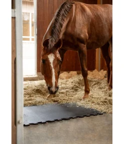 Tapis d'écurie