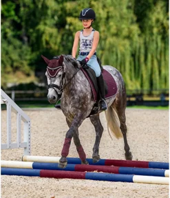 Tapis de selle Basic