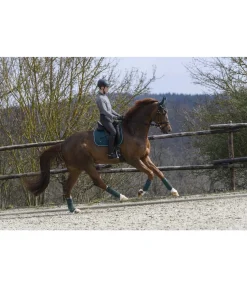 Tapis de selle Basic