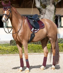 Tapis de selle Basic Pro