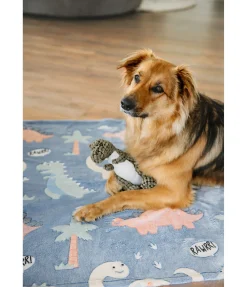 Tapis pour chien Glow in the Dark