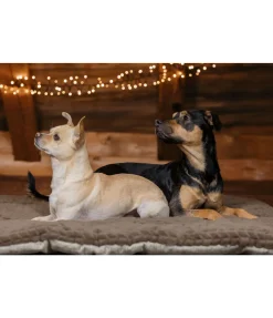 Tapis pour chien Let Me Sleep