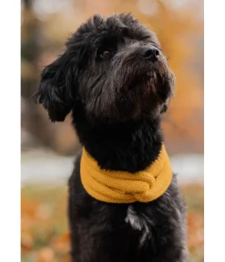 Tour de cou en tricot pour chien Espi