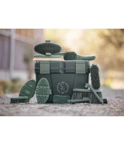 Étrille de tête Scratchy