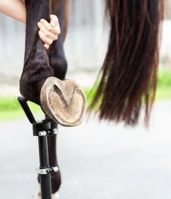 Trépied EcoFlex 2 en 1