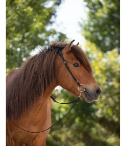 Têtière anatomique Gilja