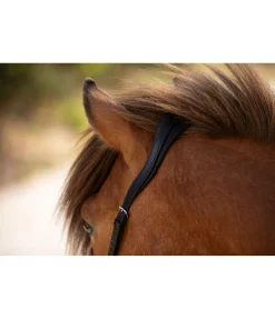 Têtière anatomique Gilja