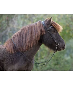 Têtière anatomique Gilja