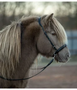 Têtière anatomique Gilja