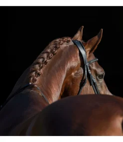 Têtière en cuir gras Mix & Match PRO Anatomical Shape